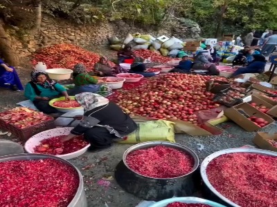 جشن انار در اورامانات