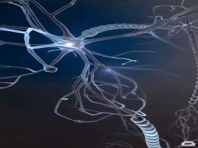 مغز انسان چند گیگ حافظه رو میتونه تو خودش جا بده؟