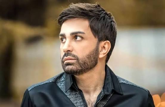 علی لهراسبی : توی پنج سال اخیر بدلیل اینکه کنسرت نذاشتم خیلی لطمه خوردم