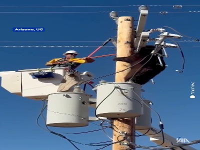 نجات یک خرس از خطر برق‌گرفتگی روی تیر برق