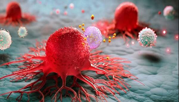 چگونه سرطان باعث مرگ می‌شود؟ نظریه جدید لخته شدن خون