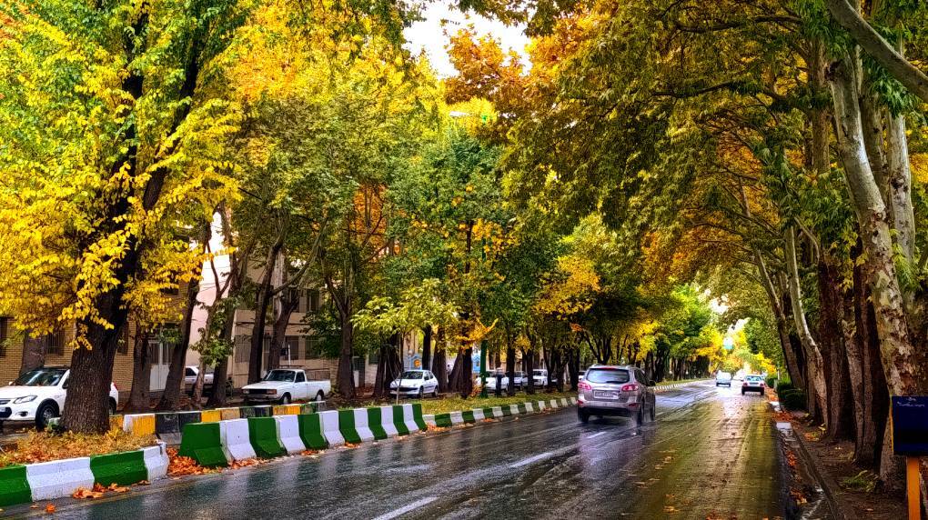 بارش پاییزی ۱۲ استان کشور را باطراوت کرد