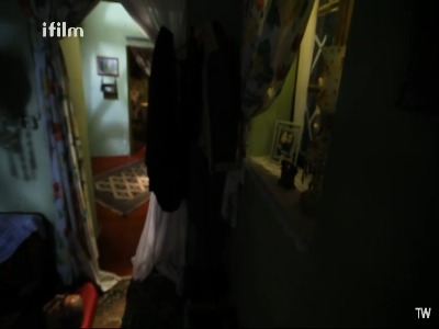 ارسطو کابوس جوجه می‌بینه!