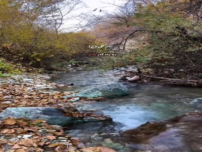 با این وصیت امیرالمومنین(ع) هیچ زیانی نمی‌بینی