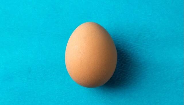 نقش تخم‌مرغ در سلامت مغز