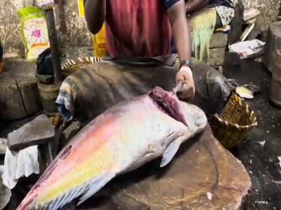 مهارت ماهی فروش هندی در برش زدن ماهی تراولی
