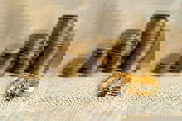 طرح اصلاح مهریه به نام تسهیل ازدواج ولی در راستای تزلزل بنیان خانواده