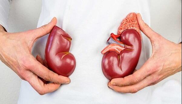 پیشگیری از بیماری‌های کلیوی با چکاپ منظم