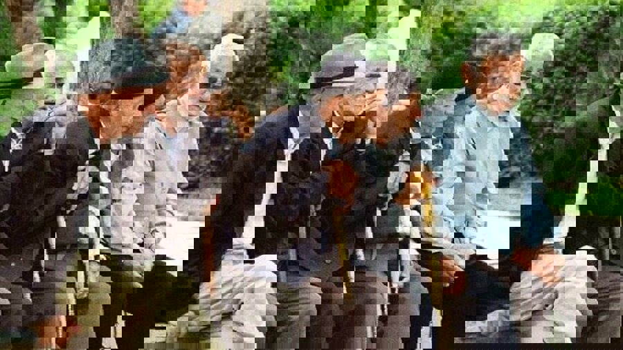 سونامی سالمندی در راه است؛ ایران با شتابی بی‌سابقه پیر می‌شود