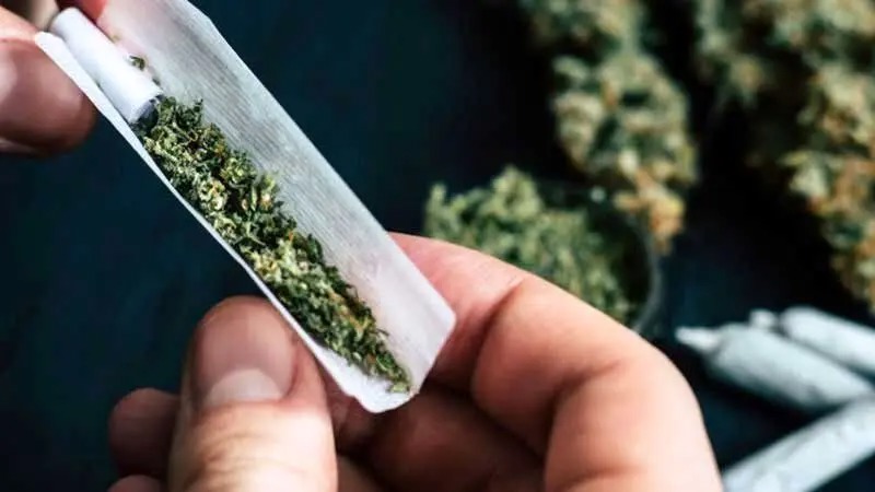 عوارض تکان دهنده مخدر گل/ دسترسی به این مخدر خطرناک در کشور کمتر از ۱۰ دقیقه است