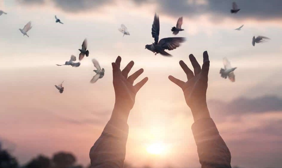 ضرر می‌کند مرد تفسیردان...