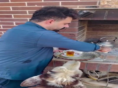 گوسفند ایرانی که عاشق چای و قند است!