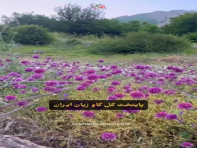 روستای بومگردی جنت رودبار