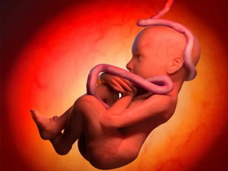 چرا جنین با خوردن شیرینی تکان می خورد؟
