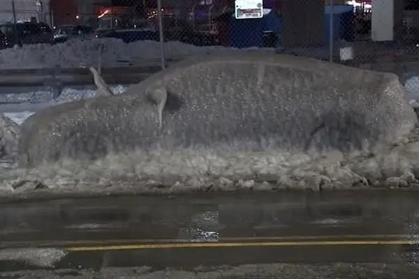 یخ‌زدگی کامل خودروها در فیلادلفیا پس از سرمای شدید