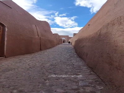 کرمان ،ارگ رایِن