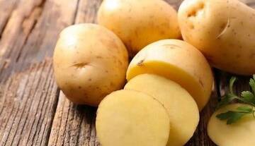 سیب زمینی‌های سبز و جوانه‌زده خطرناک هستند؟