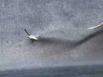 گاهی روش‌های غیرمعمول کار رو زیبا‌تر میکنه!