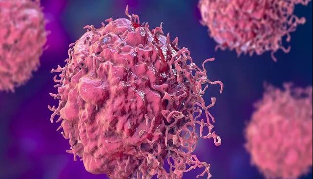 احتمال ۲۰ درصدی ابتلا به سرطان برای هر فرد؛ نیاز گسترده مبتلایان به فرآورده‌های خونی