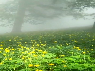 طبیعت دیدنی رودبار