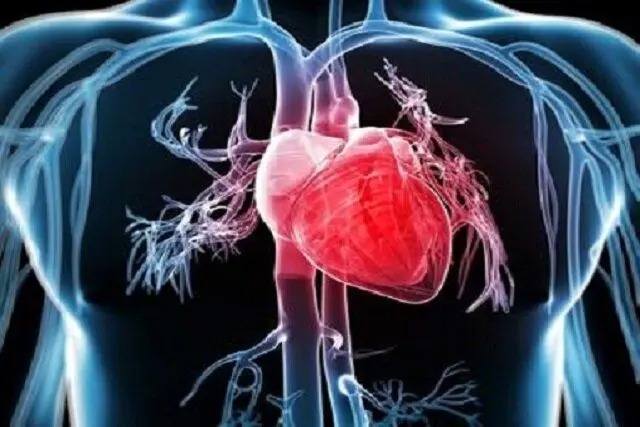 هر ورزشی برای هر قلبی مجاز نیست