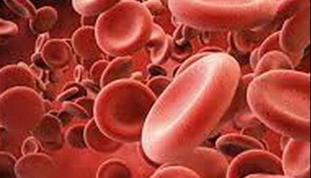 «پلاکت»؛ فرآورده‌ای با عمر کم و فواید زیاد