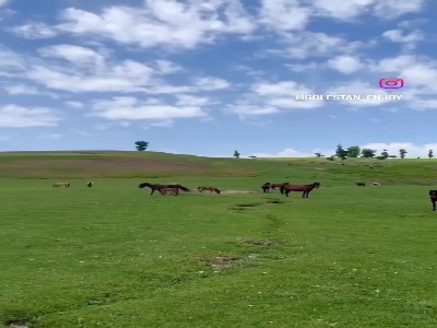 طبیعت بکر مرکوه