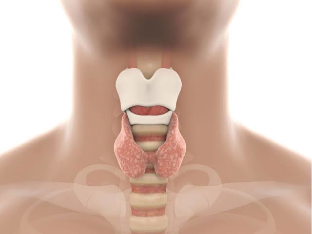 ایا تیروئید گره میخورد؟