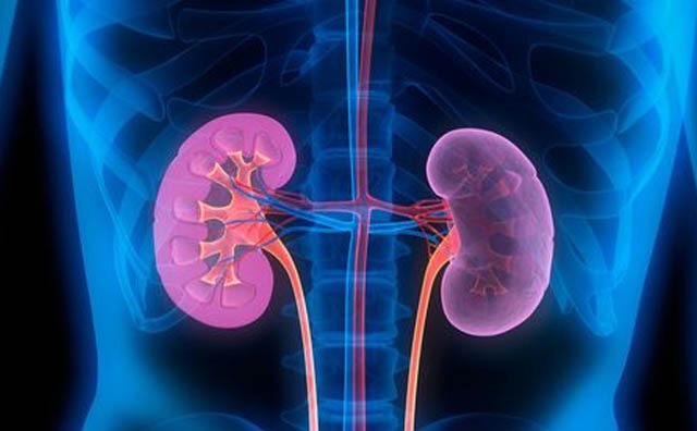 نارسایی کلیه کم کم رخ می دهد!