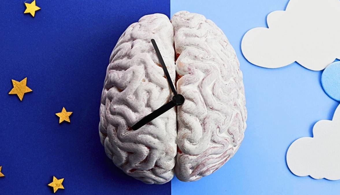 چرا گاهی قبل از زنگ ساعت از خواب بیدار می‌شویم؟