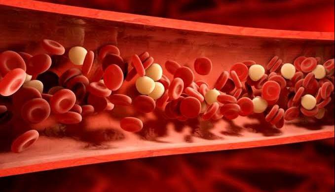 اگر کلسترول خون بالا دارید، هر روز این ۴ کار را انجام دهید