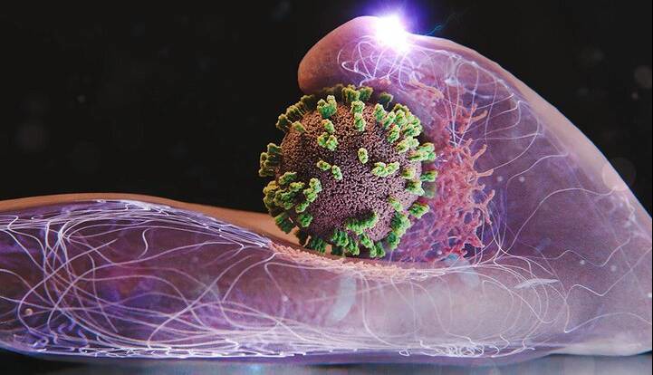 آنفلوآنزا در ۲ شهر بالاتر از سطح هشدار