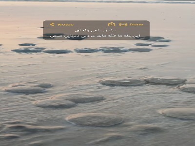 ساحل ماهی ژله ای قشم