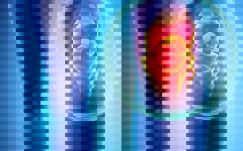 آیا می‌توان مینیسک زانو را لمس کرد؟