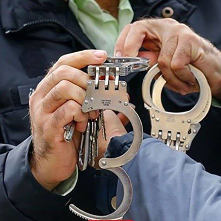 مدیرعامل یک مؤسسه مالی با ۱۳ هزار شاکی دستگیر شد