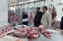 عرضه گسترده اقلام پروتئینی تنظیم بازار در کیش با نرخ مصوب