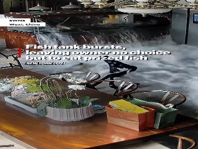 لحظه انفجار آکواریوم بزرگ ماهی و خسارت ۴۲ هزار دلاری