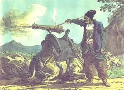 آریا بانو