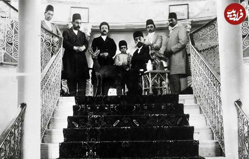 آریا بانو
