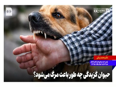 حیوان‌گزیدگی چطور باعث مرگ می‌شود؟