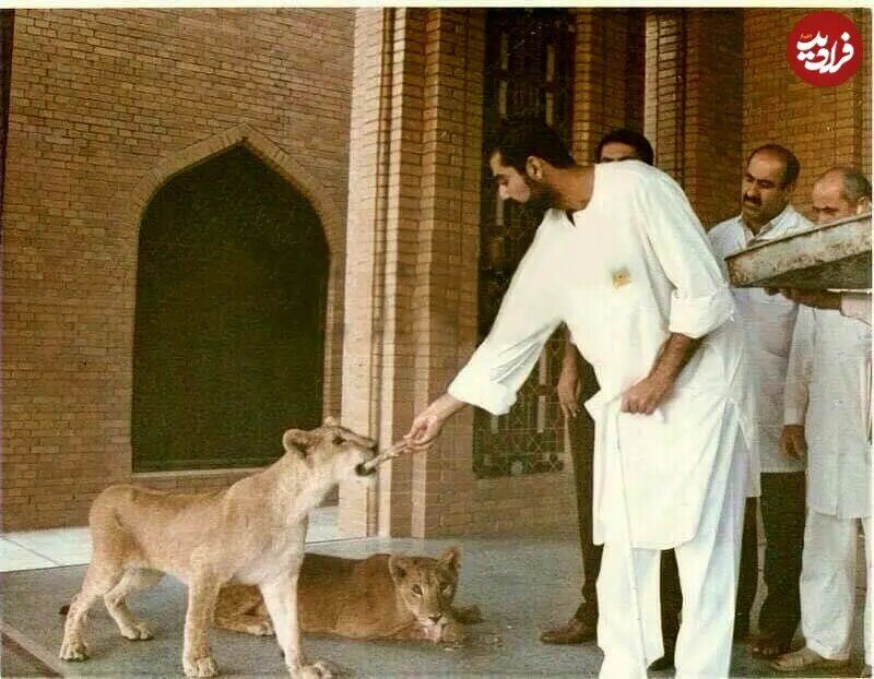 آریا بانو
