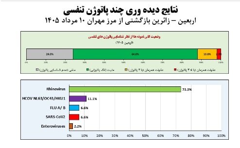 آریا بانو