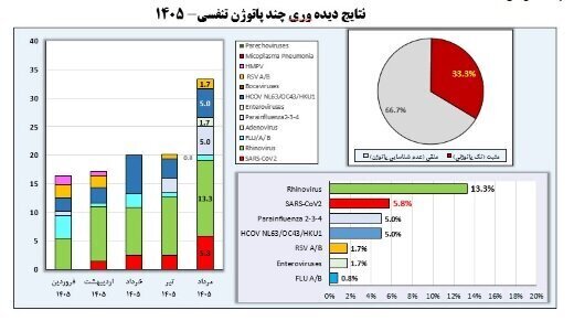 آریا بانو