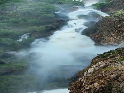 زیبایی در خلقت کار خالق