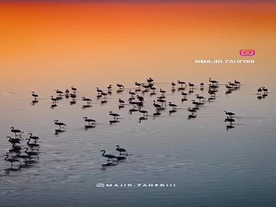 غروب زیبای میانکاله