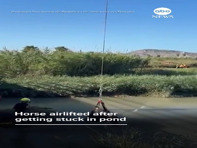 نجات اسب گرفتار در برکه با هلیکوپتر