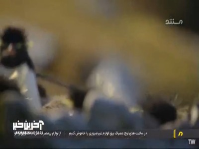مجرد بنظر میرسد!