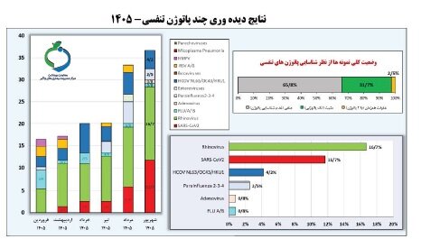 آریا بانو