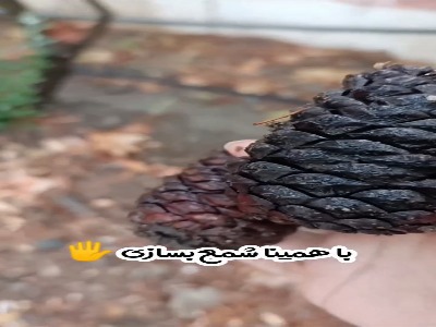 دورریزترین کارها رو تبدیل به شمع کن