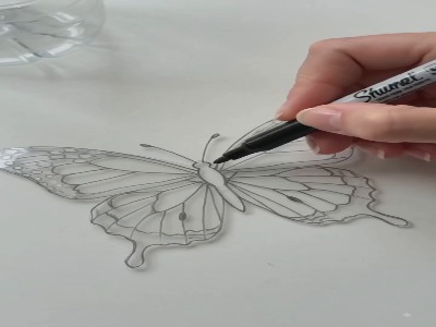 ایده جذاب پروانه ای